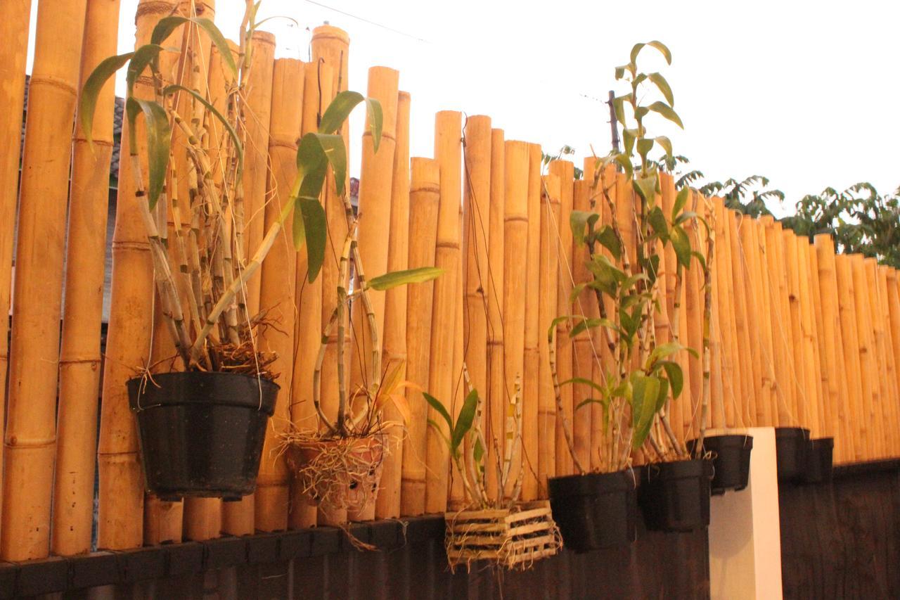 The Wayang Bed & Breakfast *